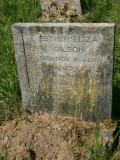 image of grave number 186656